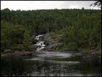 Bifogad bild: norge2010augusti766.jpg